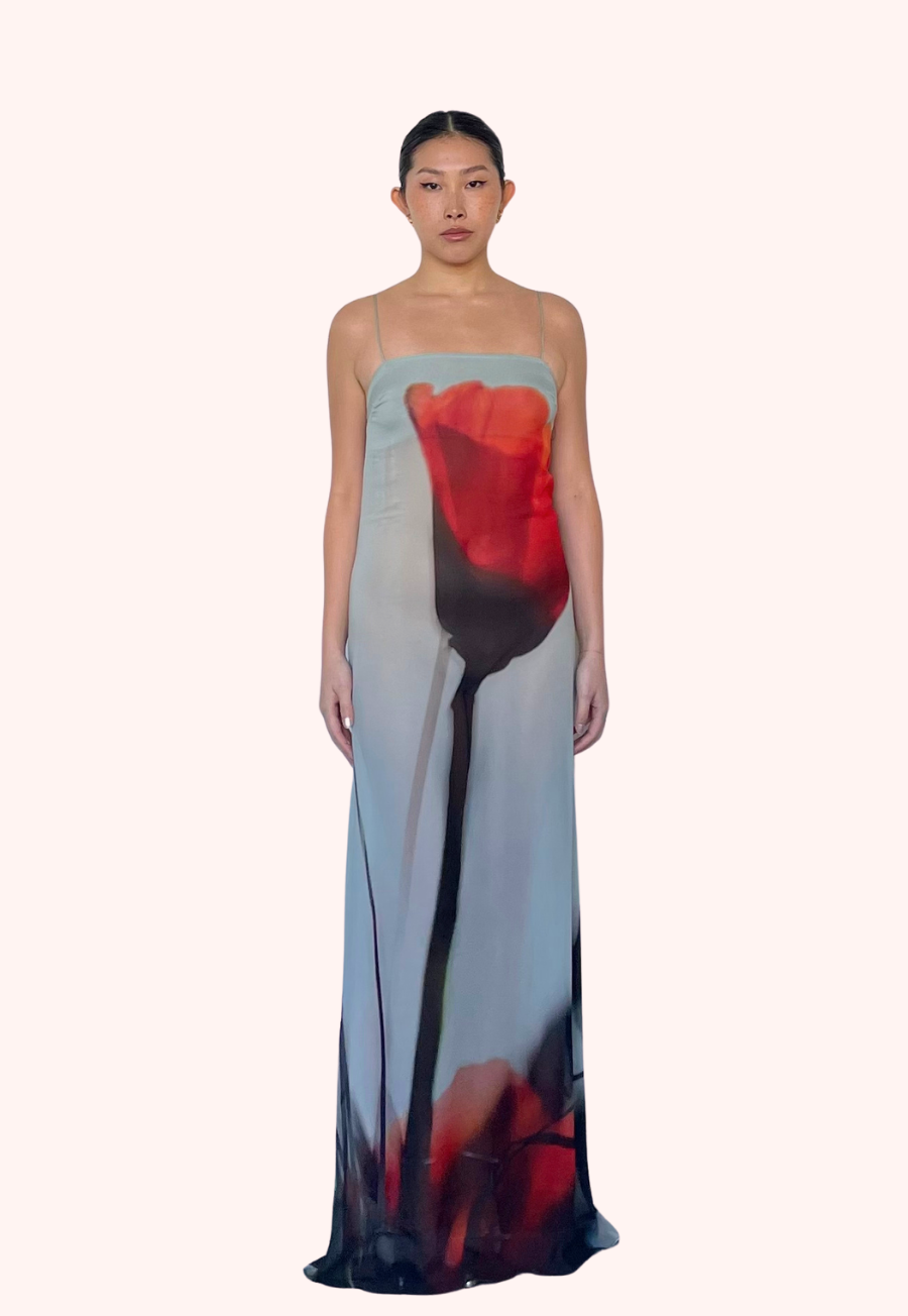 Luciana Dress