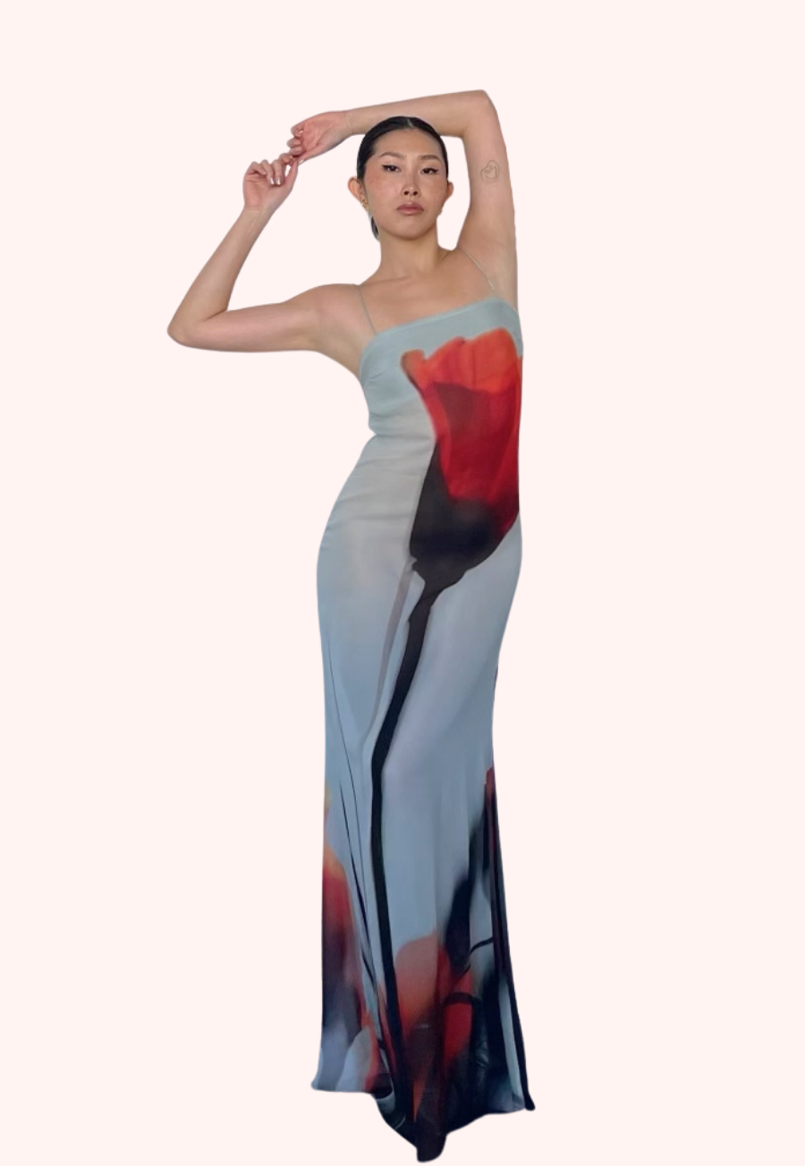 Luciana Dress