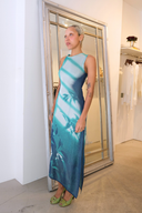 Cedar Window Print Tank Midi Dress