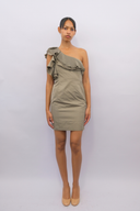 Pinko One Shoulder Ruffle Dress