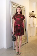 Loop Mesh Printed Bias Babydoll Dress