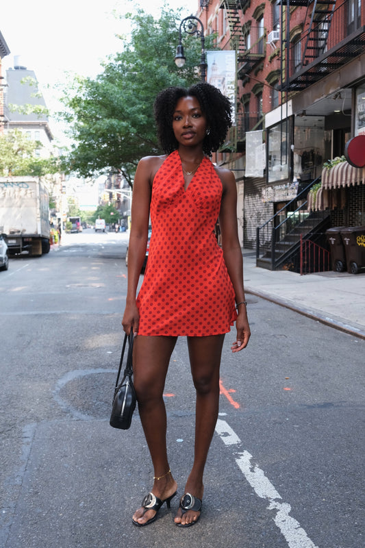 Leila Mini Dress