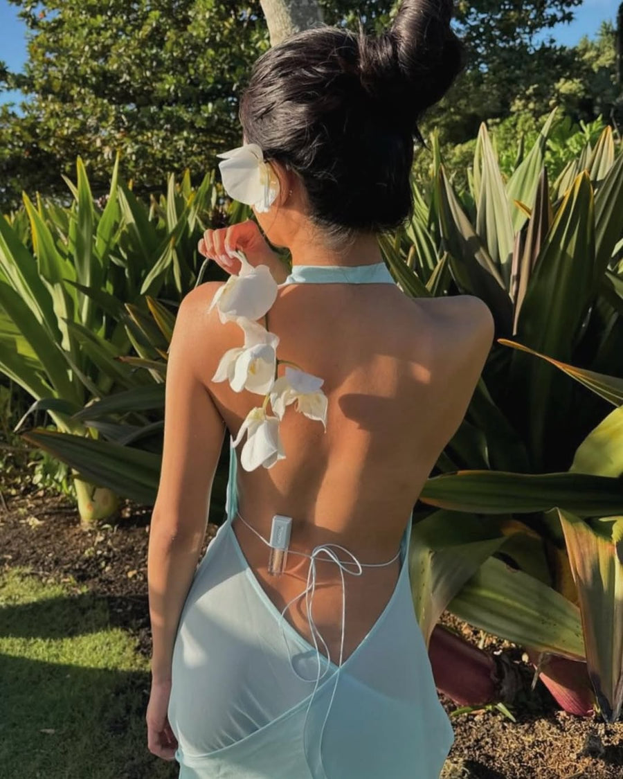 Anastasia Dress seen on you