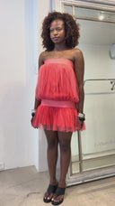 Tutu Dress in Coral